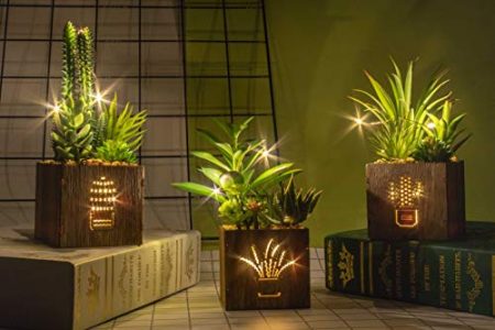 BEGONDIS Set of 3 Artificial Succulents with Led Lights in Wooden Box- home decor